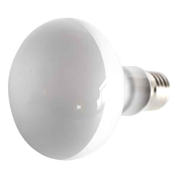 Lámpara 30w 220v Para Lampara Lava Contacto Colon