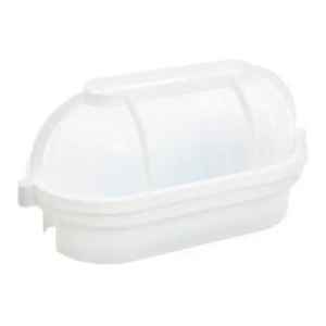 Tortuga Plástico Contacto Electricidad Colon