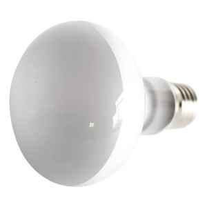 Lámpara 30w 220v Para Lampara Lava Contacto Colon