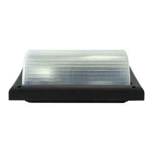 Tortuga Exterior Toledo Contacto Electricidad Colon