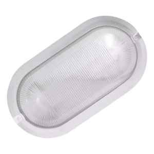 Tortuga Exterior / Contacto Electricidad / Colón